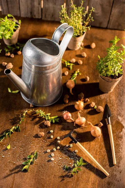 Watering can and garden tools — Stock Photo