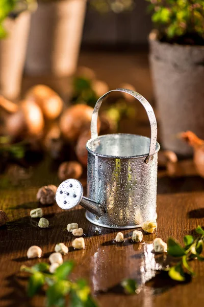 Little watering can — Stock Photo