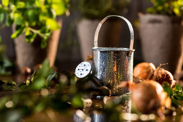 Little watering can — Stock Photo