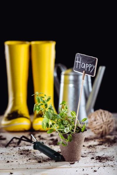 Bottes en caoutchouc et outils de jardin — Photo de stock