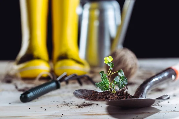 Bottes en caoutchouc et outils de jardin — Photo de stock