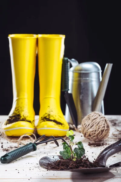 Rubber boots and garden tools — Stock Photo