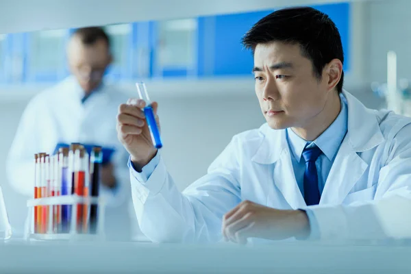 Cientista que trabalha em laboratório — Fotografia de Stock