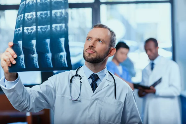 Doctor analyzing x-ray picture — Stock Photo