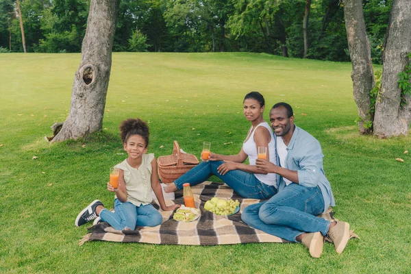 Familia afroamericana en el picnic - foto de stock