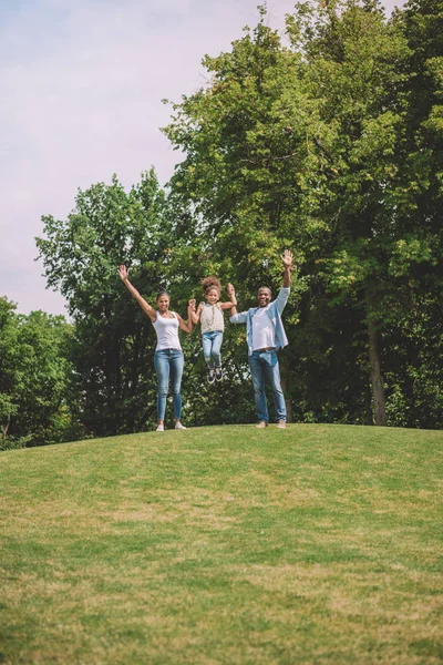 Familia afroamericana en el campo - foto de stock