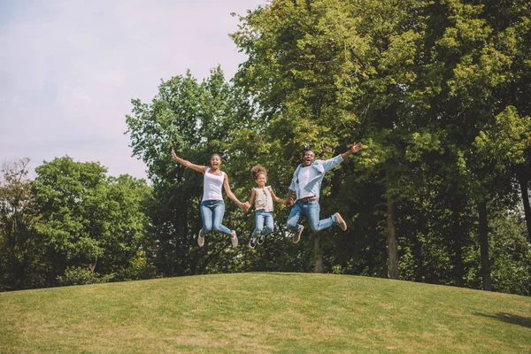 African american family at countryside — Stock Photo