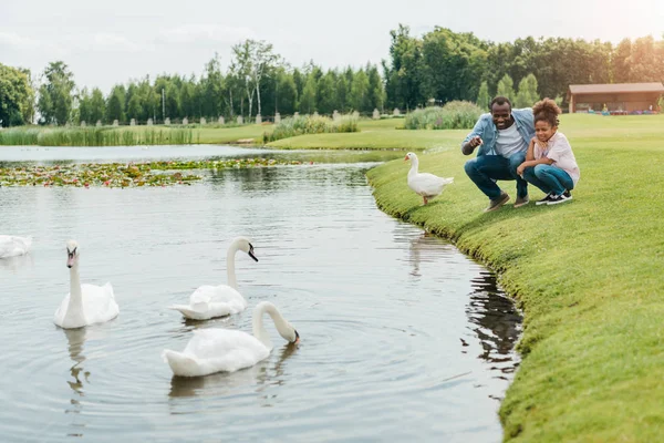 Padre e hija afroamericanos cerca del lago - foto de stock