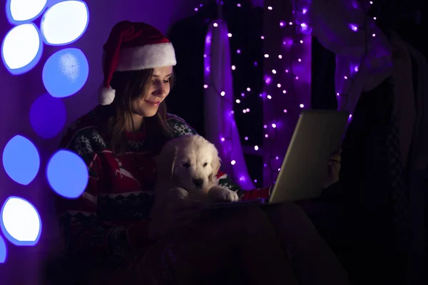Noel kıyafetleri içinde bir kız çocuğu, bir köpek yavrusu ve dizüstü bilgisayarla evde oturuyor, bir kadın yılbaşını evcil bir hayvanla kutluyor, internette, Noel için. — Stok fotoğraf