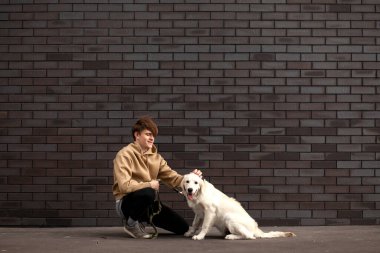 Genç bir adam sokakta köpekle birlikte duvarın arkasında oturuyor ve ona sarılıyor, av köpekli bir adam, kopyalama alanı.