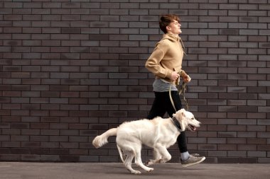 Genç adam sokakta bir köpekle duvarın arkasına doğru koşuyor. Köpek yavrusuyla antrenman yapıyor. Uzayı kopyalıyor.