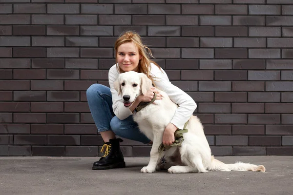 Mladá Městská Dívka Hladí Psa Ulici Zdi Žena Chodí Retriever — Stock fotografie