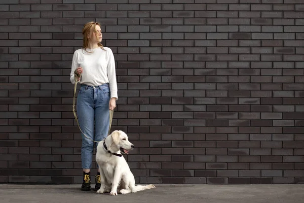 Jovem Menina Urbana Caminha Com Cão Rua Contra Fundo Parede — Fotografia de Stock