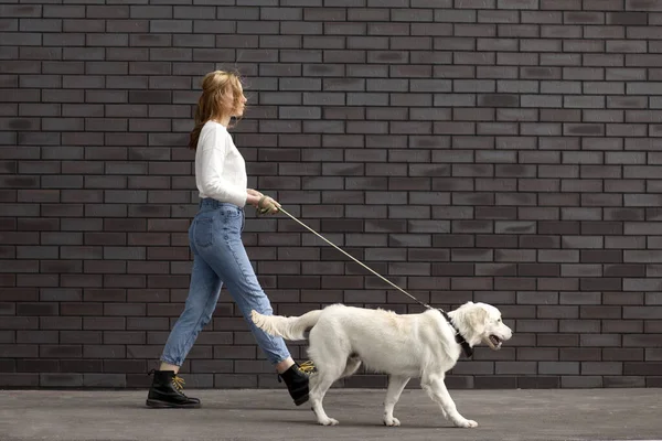 Junges Urbanes Mädchen Geht Mit Hund Auf Der Straße Vor — Stockfoto