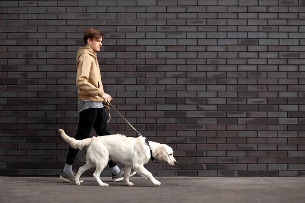 Молодой Парень Гуляющий Собакой Улице Фоне Стены Мужчина Выгуливающий Щенка — стоковое фото