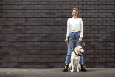 Genç ve güzel şehirli bir kız sokakta bir köpekle duvara dayanıyor. Golden Retriever köpeği olan bir kadın. Kopya alanı.