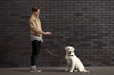 Genç adam bir köpeğe duvara karşı sokakta oturmayı öğretiyor. Köpekli bir adam, kopyalama alanı.