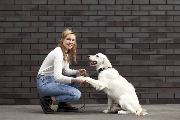 Mladá Krásná Dívka Psem Ulici Zdi Retriever Štěně Dává Tlapku — Stock fotografie