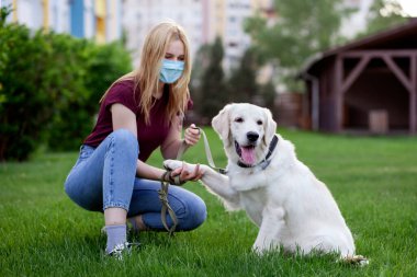 Koronavirüs salgını. Koruyucu maskeli genç bir kız yaz parkında köpeği gezdirir. Karantinada köpeği olan bir kadın.