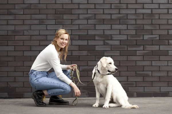 도시의 소녀는 길에서 미소짓고 있습니다 리트리버 강아지를 데리고 여자는 공간을 — 스톡 사진
