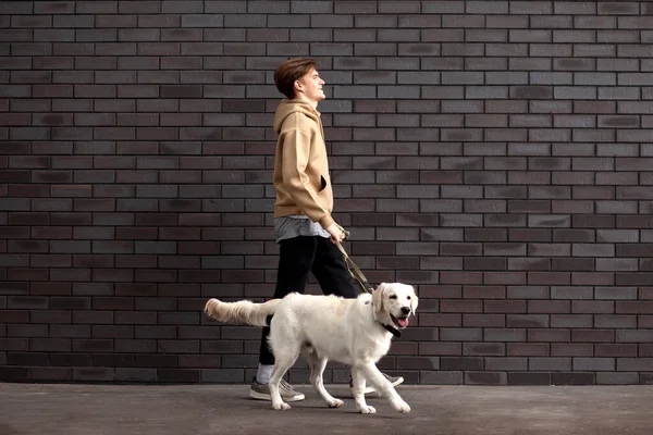 Jonge Man Loopt Met Een Hond Straat Tegen Achtergrond Van — Stockfoto