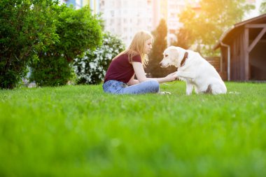 Köpekli genç bir kız baharda yeşil çimlere oturur ve bir kadın köpekle oynar.