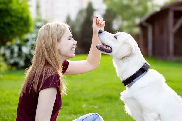 Niña Con Cachorro Recuperador Sienta Una Hierba Verde Primavera Calle — Foto de Stock