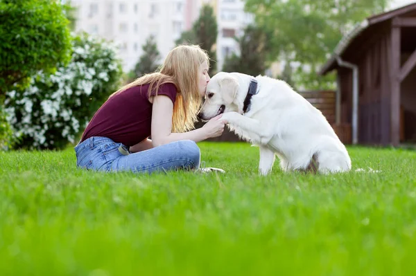 Köpekli genç bir kız baharda yeşil çimlere oturur ve bir kadın köpekle oynar.