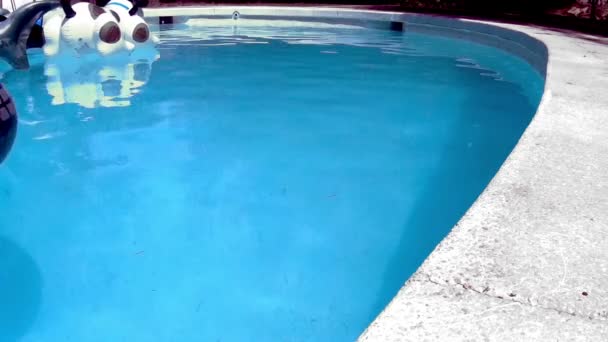 Giocattoli in piscina — Video Stock