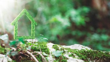 Çim, ekoloji yapılmış yeşil ev