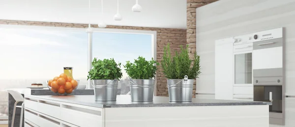 Cozinha branca moderna com plantas aromáticas, ilustração de renderização 3d — Fotografia de Stock