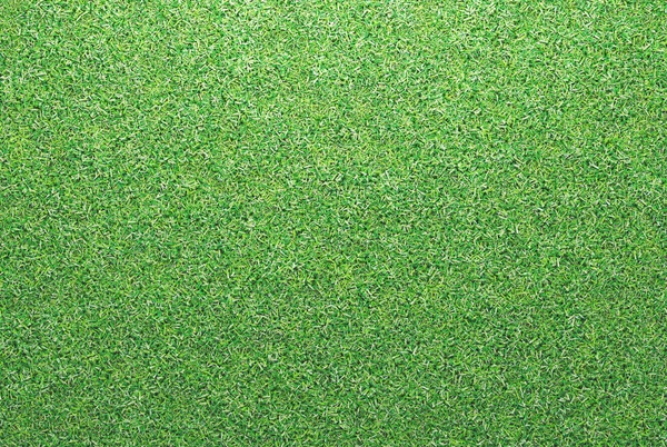 Groen gras, natuur, veld en 3d render illustratie — Stockfoto