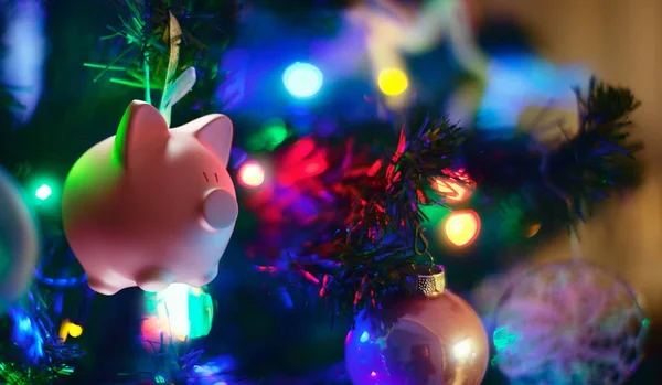 Свинка Рождественской Елке — стоковое фото