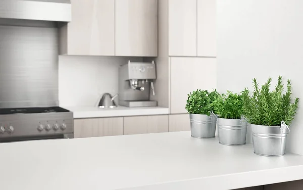 Aromatik bitkiler, 3d render illüstrasyon ile modern mutfak