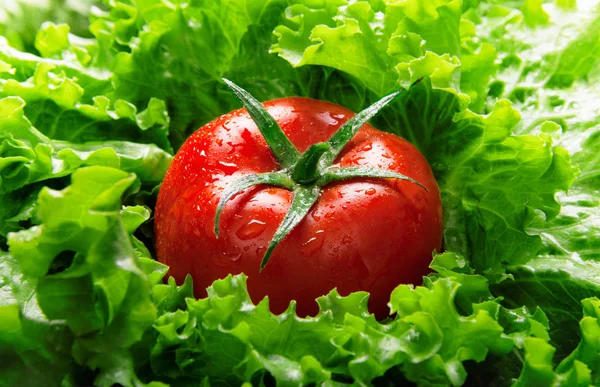 Tomater Och Sallad Fräsch Och Hälsosam Mat — Stockfoto