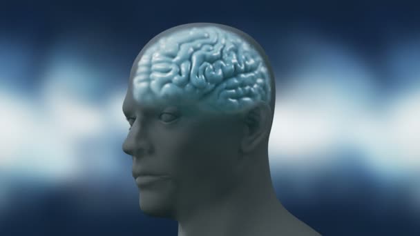 Neurones dans la tête - vol, neuroactivité, synapses, neurotransmetteurs, cerveau. Rendu 3d 