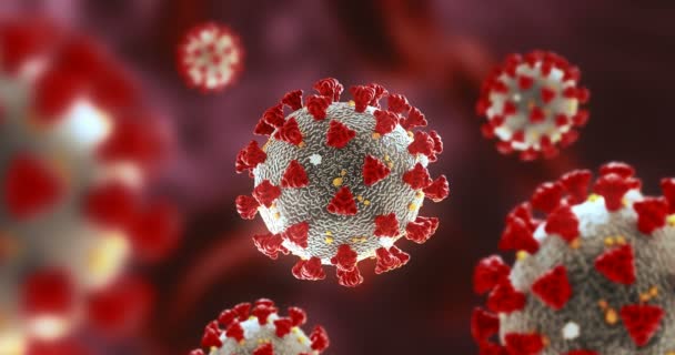 Концепция коронавируса коронавируса Коронавируса 2019-nCov, пригодная для вспышки азиатского гриппа. Коронавирус гриппа как опасный штамм гриппа, как пандемия. Вирус микроскопа закрывается. 3d-рендеринг — стоковое видео