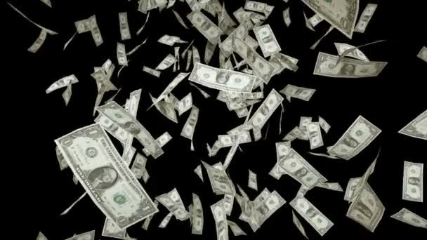 US Dollars Vallen op Black and White Matte achtergrond. Cinematische 3D-weergave animatie — Stockvideo