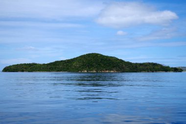 Filipinler takımadalarında küçük bir orman adası. Ada, okyanusun mavi, sakin suları ve açık gökyüzü ile çevrilidir. Çok az bulut var, gün çok aydınlık ve güneşli.. 