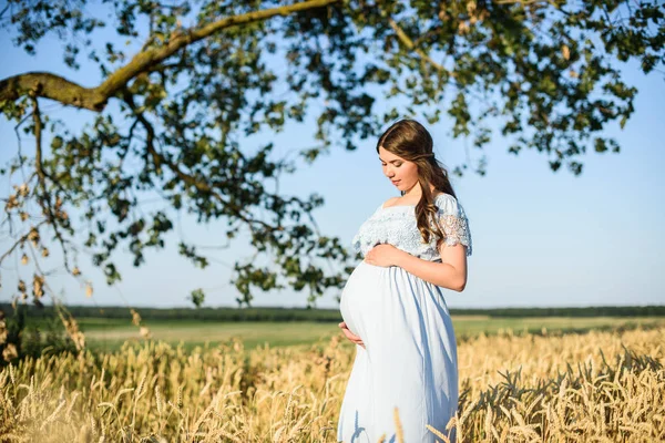 年轻美丽的孕妇在阳光明媚的夏日里走在麦田橙地里 自然在国家 — 图库照片