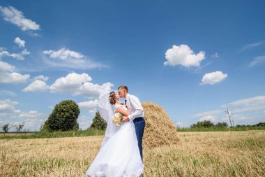 Güzel düğün çift, gelin ve damat buğday alan mavi gökyüzü ile poz