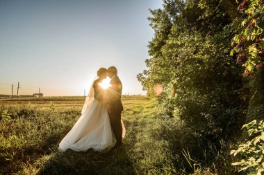 Doğadaki düğün çifti tarlada buğdayla yürüyor. Muhteşem kırsal alanlar.
