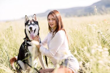 Güzel kız köpek (siyah ve beyaz husky mavi gözlü) yeşil alan ile çalış