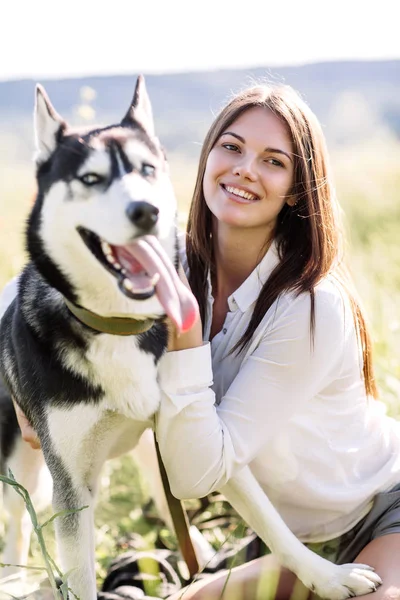 Güzel kız köpek (siyah ve beyaz husky mavi gözlü) yeşil alan ile çalış