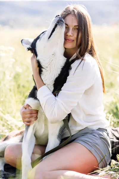 美しい少女が犬 (黒と白青い目のハスキー) グリーン フィールドで遊ぶ — ストック写真