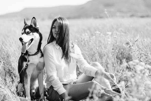 美しい少女が犬 (黒と白青い目のハスキー) グリーン フィールドで遊ぶ — ストック写真