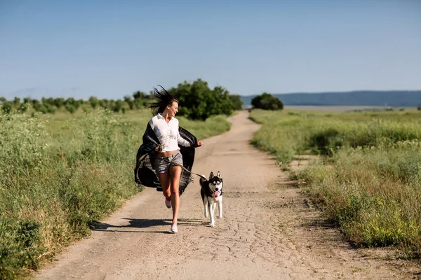 美しい少女が犬 (黒と白青い目のハスキー) グリーン フィールドで遊ぶ — ストック写真