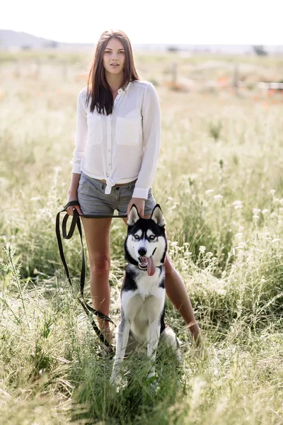 美しい少女が犬 (黒と白青い目のハスキー) グリーン フィールドで遊ぶ — ストック写真