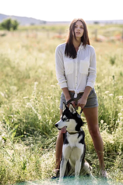 美しい少女が犬 (黒と白青い目のハスキー) グリーン フィールドで遊ぶ — ストック写真