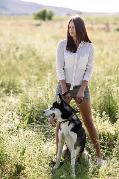 美しい少女が犬 (黒と白青い目のハスキー) グリーン フィールドで遊ぶ — ストック写真